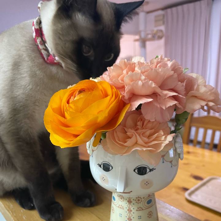 0ae93fb7 ec39 4aa8 a06b 1fb7fe1dd980 1738700490167