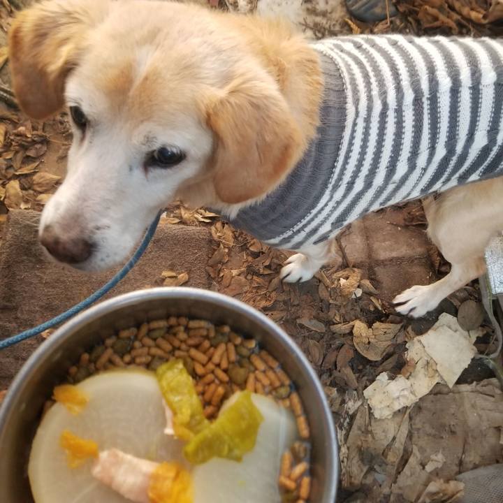 0ae94c3a d047 48f0 bcb6 08ff73211c50 1671143055260