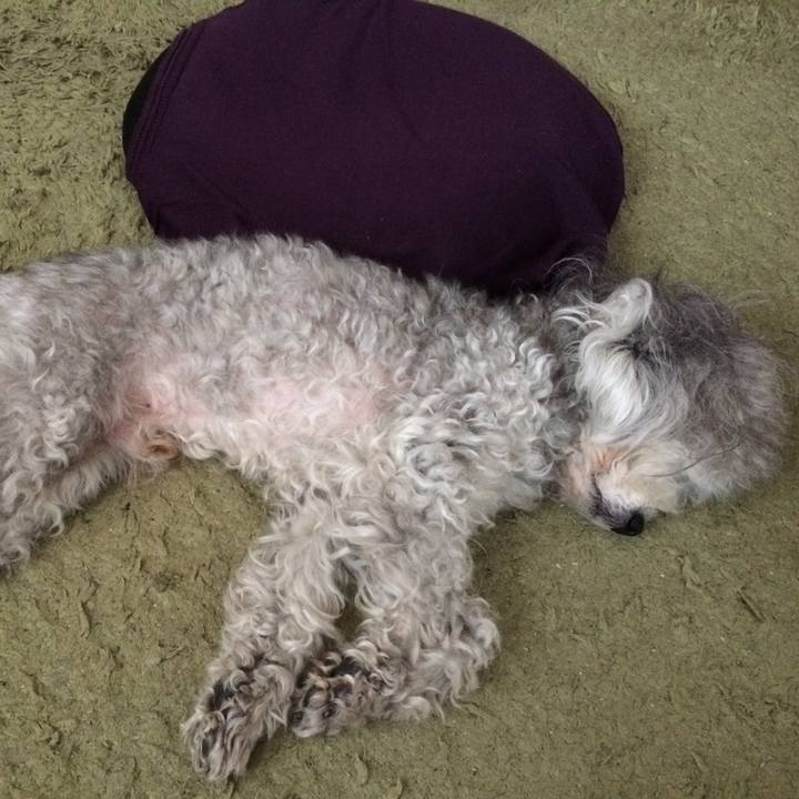 0ae951cd 95db 4167 8803 7693f726a8e0 1515389854959