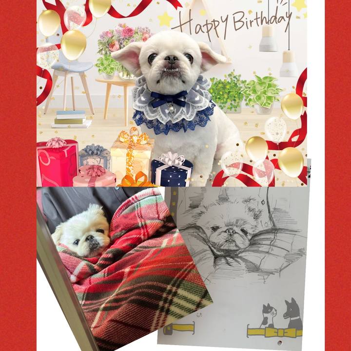 0ae9a8d6 ed2a 4cd0 8735 415f44a69789 1749093307432