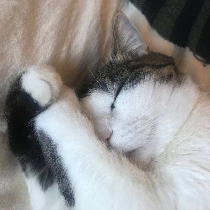 0ae9e1d7 66ac 449a a8ec 60c56a494068 1548459558434