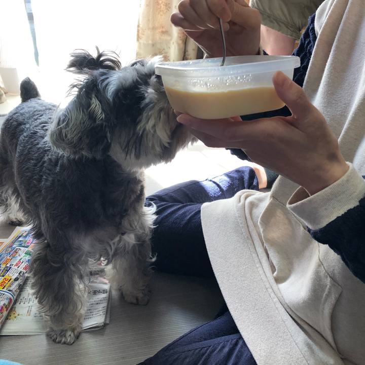 0ae9e476 1ed7 42bd b5a6 0e49b9f92529 1571750691243