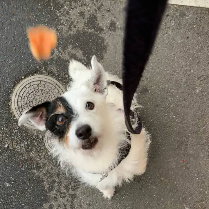 0aea0657 1b2e 47aa 99f4 a0cdf8a8b831 1719734744355