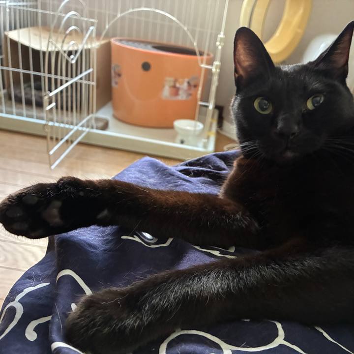 0aea6195 e239 4aec 9977 84d567d2c068 1756846054396