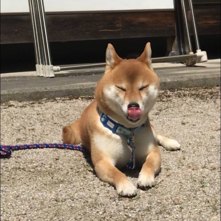 0aea8f82 f053 4f9f 86f6 205e44c5ca3f 1586233251015