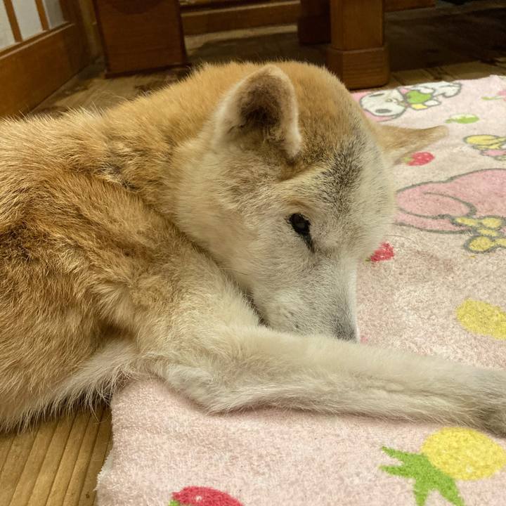 0aeab028 463f 437d 926d 732be3155378 1604751962007