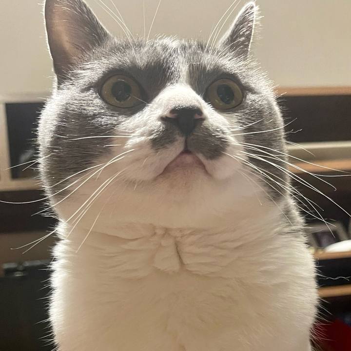 0aeab7a3 0393 4926 95bd 036755caeb34 1653137115299