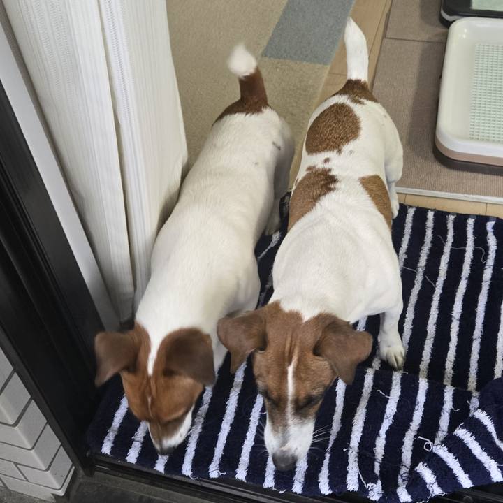 0aead746 5804 4e3b a4dc 06e75225d1f9 1773906667384