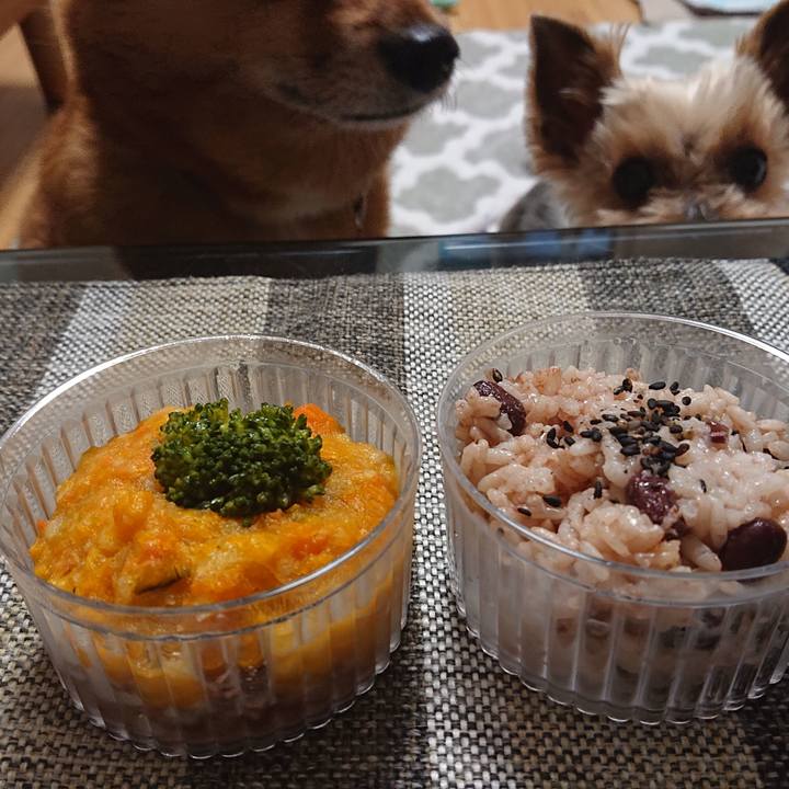 0aeae049 b93a 484c 9d43 439663c03062 1556702290138