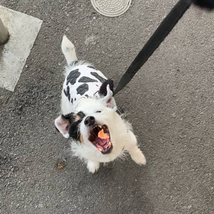 0aeb21ad bbe6 4527 9ca9 0763aec79ed6 1708759121272