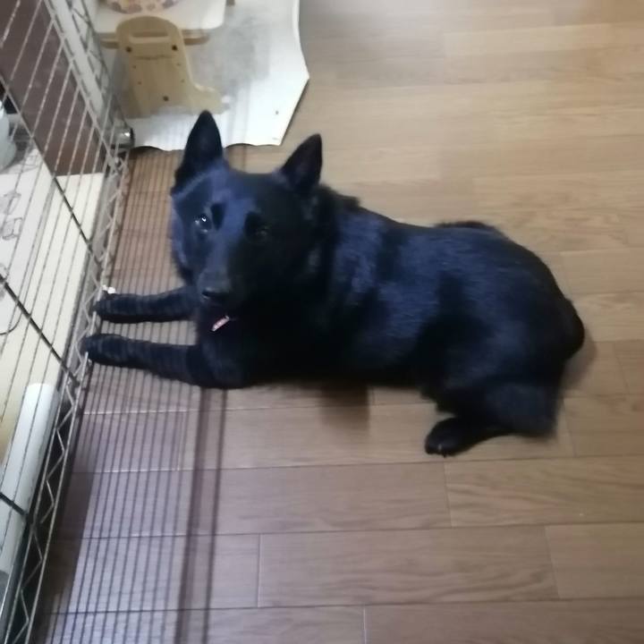 0aeb2f76 eb7f 4081 8d06 83aba910b230 1620937802076