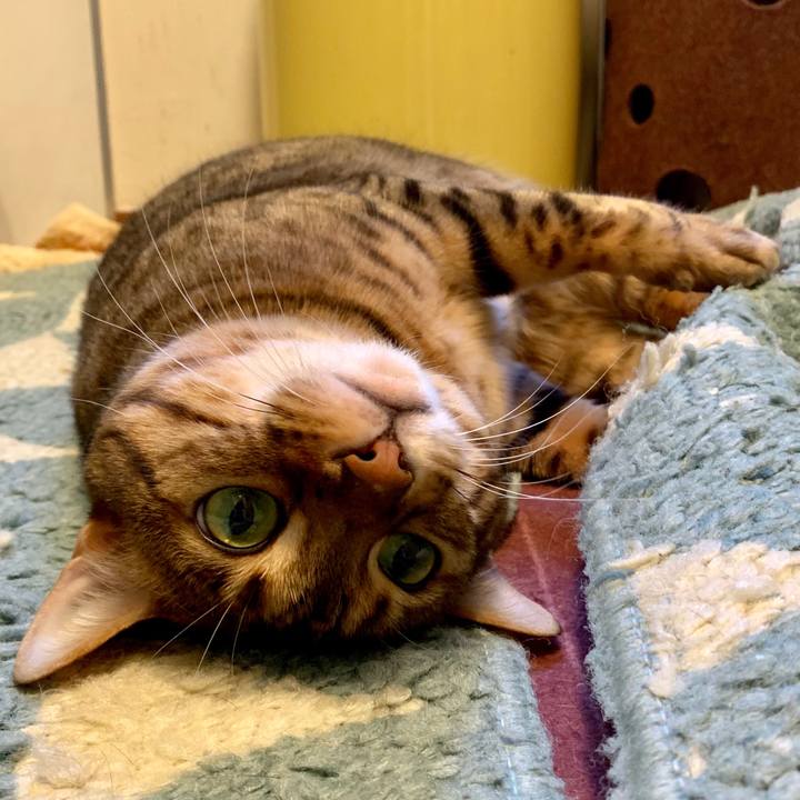 0aeb48ee 5acd 44ca acc0 eaeaa7a7ce4b 1557696549320