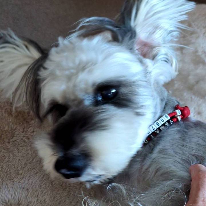 0aeb91a1 eb94 4caf a1e0 8d1e9d6f4616 1759652161986