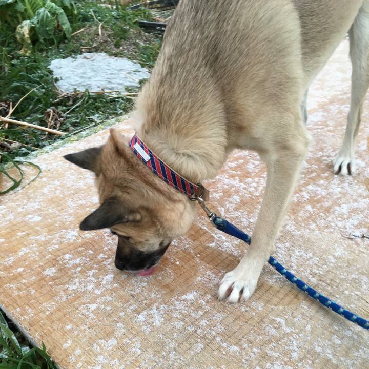 0aeb99df 4c9b 4359 9c77 dde17364c1b0 1515760103372