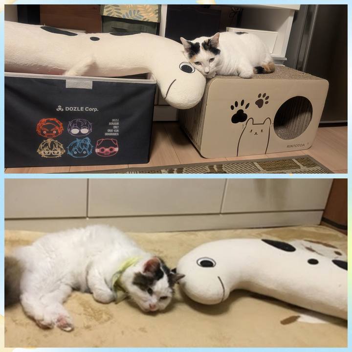 0aebb334 1b80 412f b217 5c480fff95d0 1750899208104