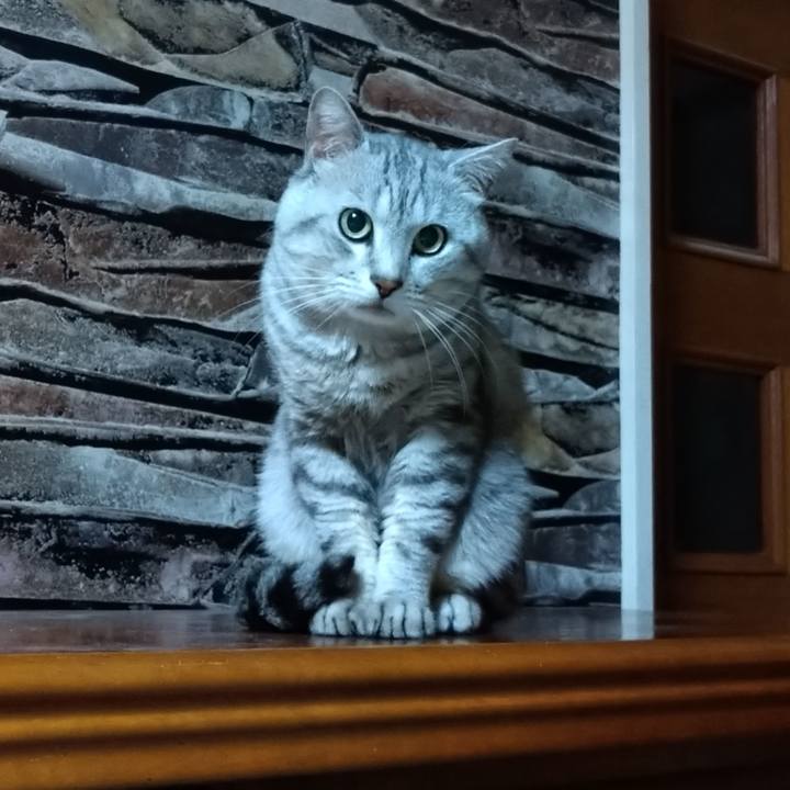 0aebc9b4 5e4f 40c6 b250 7fb5520c469e 1687789947750