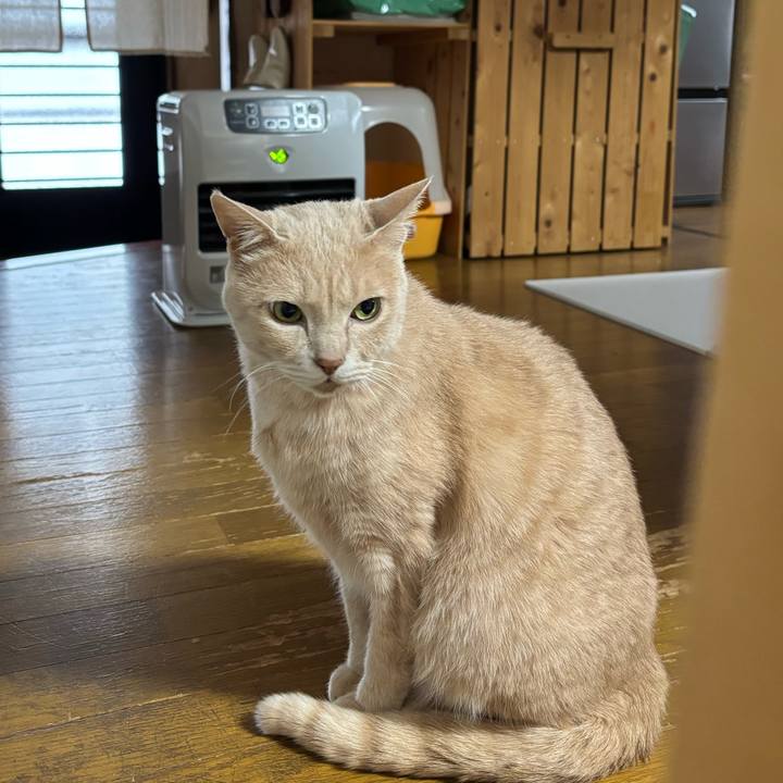 0aebcc32 a3ec 4576 9cc4 82967c536baf 1739404217758