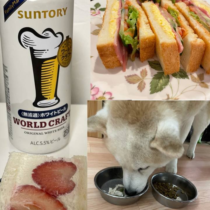 0aebcdf0 8a3f 420c b3af 2f7c008b3735 1644843256673