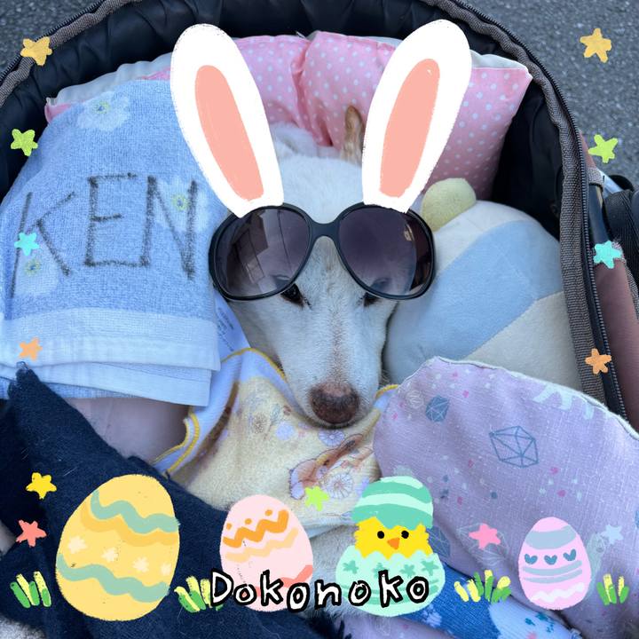 0aebf409 56c5 4255 8b89 43ef9ddc8535 1712235532384