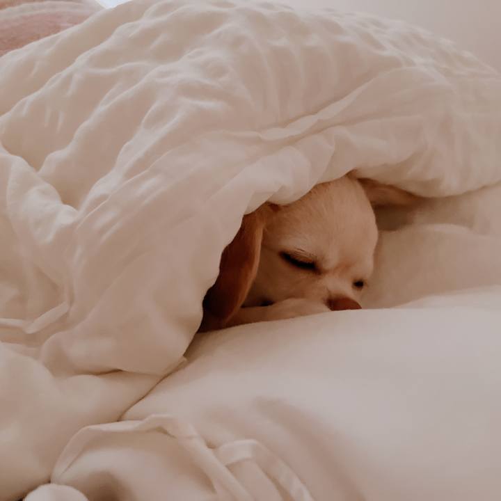 0aec3a43 eba7 4f31 8867 6589fff54ca4 1669005079666