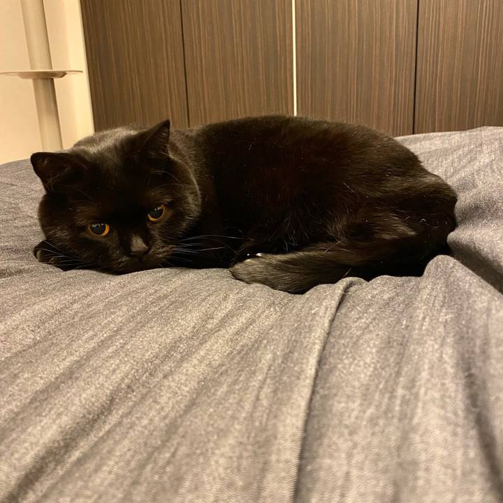 0aec40c8 f181 4a9b b5c1 4ec2c9343f0a 1681566645181