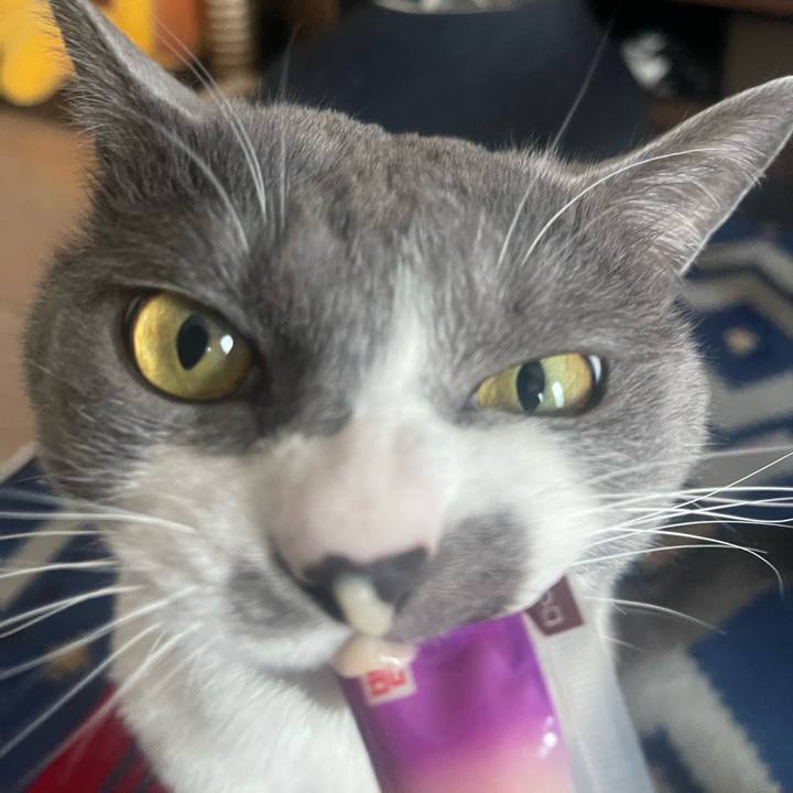 0aec5965 0eba 4751 a49f 7fe81be4c924 1681195436209