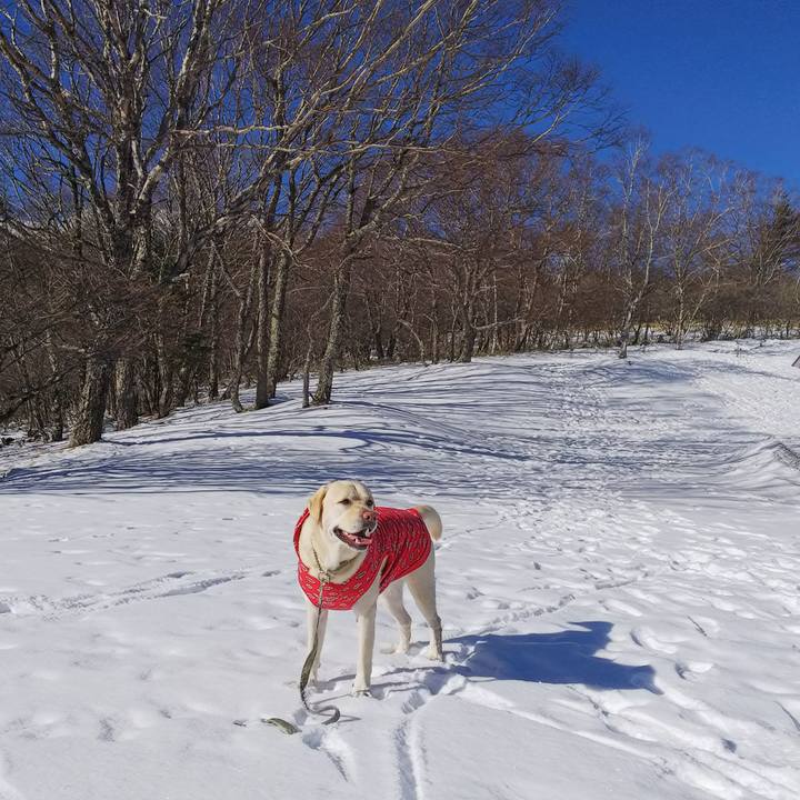 0aec5bcc 5a79 4ab9 9314 dd78d1b15e91 1578277812147