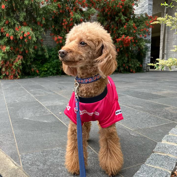 0aeca44f f67b 4a66 9a79 cafd1dffc319 1667697065867