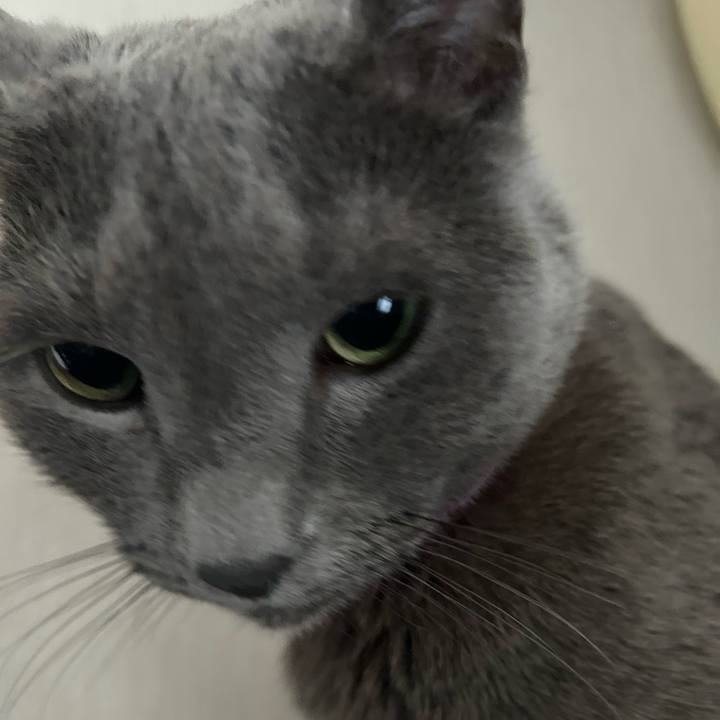 0aeca555 12f4 4fc6 87df 9bfd11011baa 1763247420499