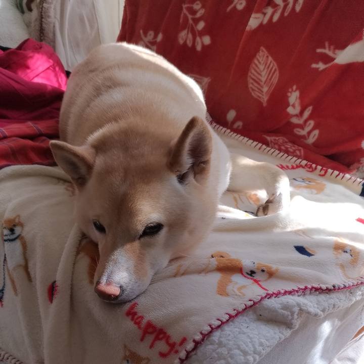 0aeca879 24d0 4783 b8b5 515c40573fa3 1613272562103