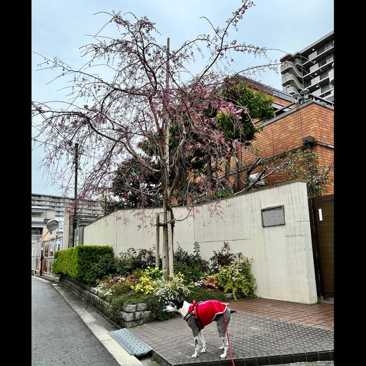 0aeccc62 5083 4ffd 9503 1697be9eda49 1648526118307