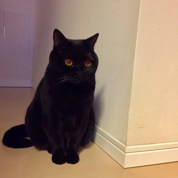 0aecd2aa 7fc5 4438 ba88 01827095c03f 1518611948553