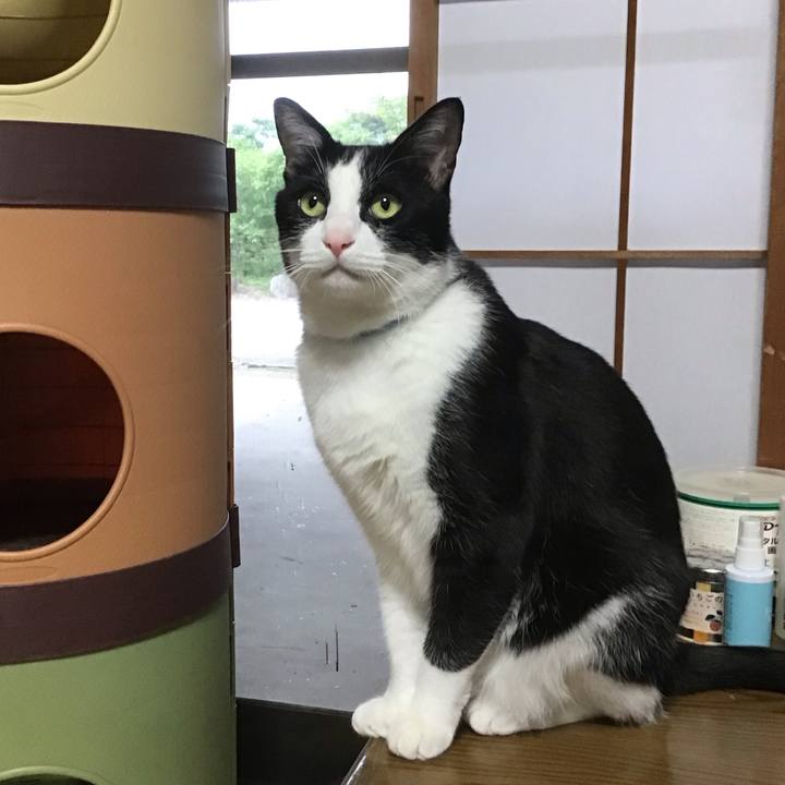 0aecd7c9 2d70 4f39 bed3 ca07f2a8efe4 1748605480451