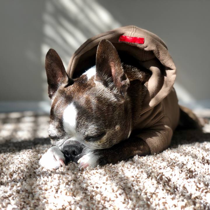 0aecde71 dfb0 4480 8af7 2177240151f9 1548460616693