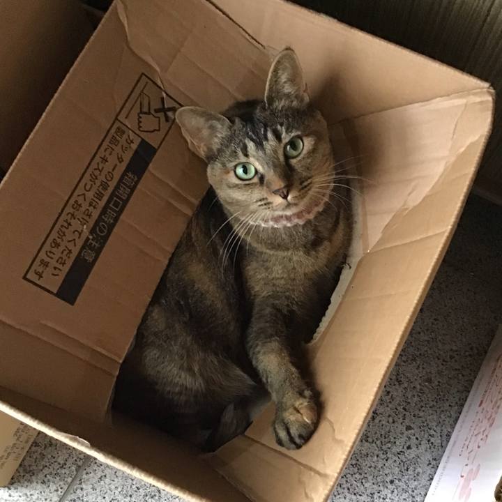 0aed0055 8b8a 4d68 9cd6 f8919d7fd6e1 1660453870855