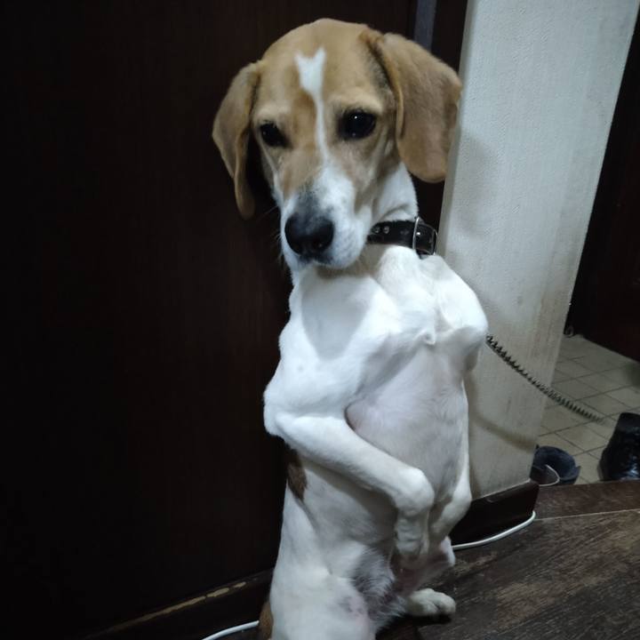 0aed1fe4 5fa1 445f a969 465fdc5db2b0 1649508705305