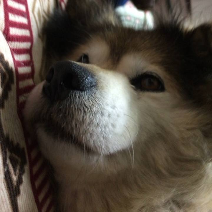 0aed3094 6817 4169 be3b 308baa687650 1626415591976