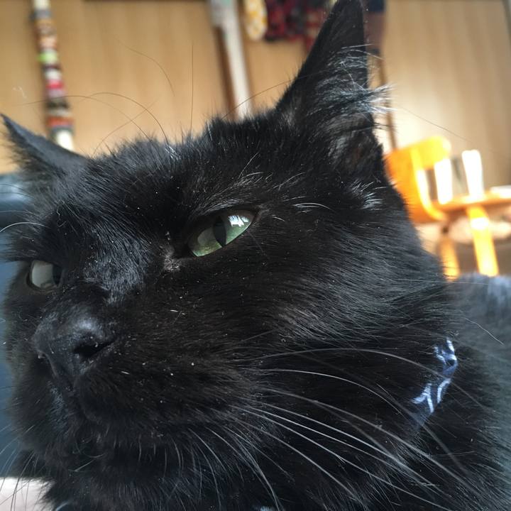 0aed4438 9184 4445 90a2 1df62f9d7db0 1552793685592