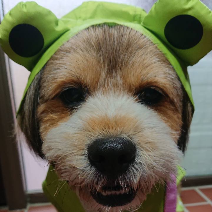 0aed8d2e 5426 4834 857d 346ddedc6652 1561543445366