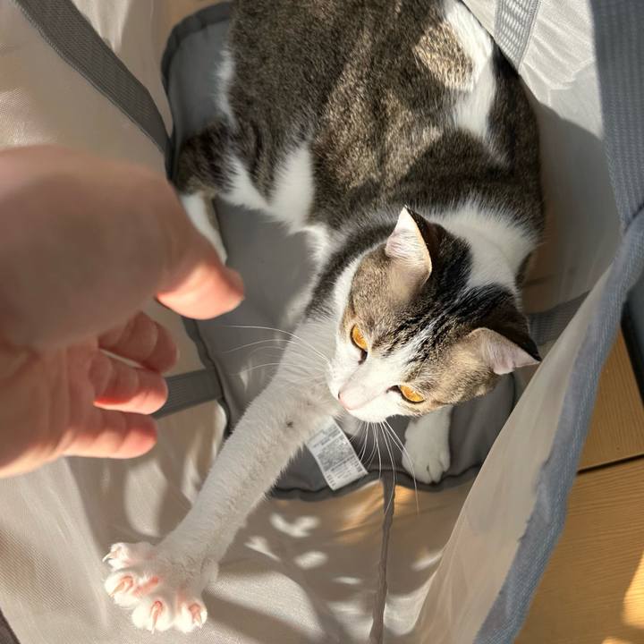 0aed932e a645 41b0 ba7d 74867d78041f 1774580257886