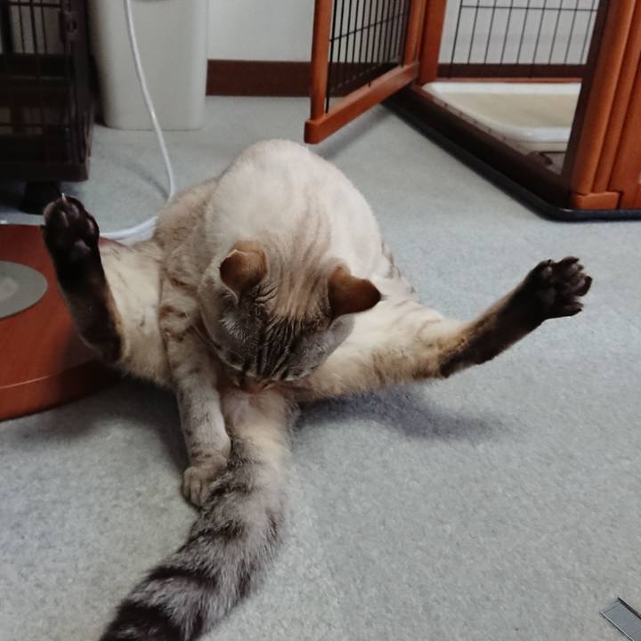 0aeda4b4 aeb3 4c97 9006 2bf2157d3fab 1517725538608