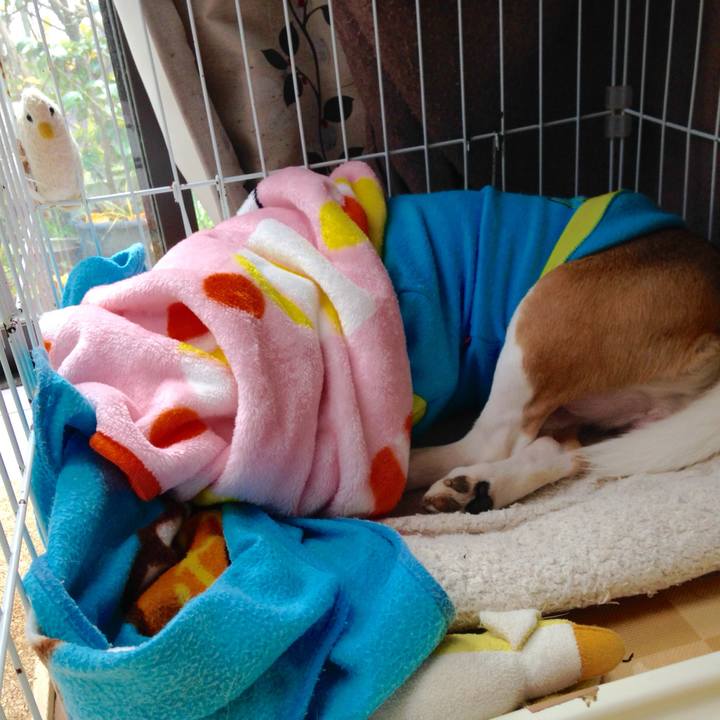 0aee02b0 f5ed 43c8 bfbd 38a4f184b64d 1733526004137