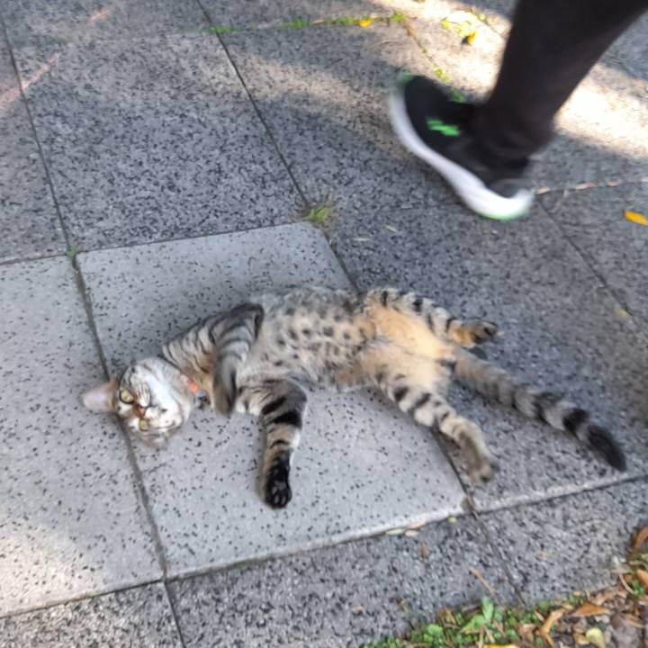 0aee1294 e581 420a b107 ad8926169408 1764725602665