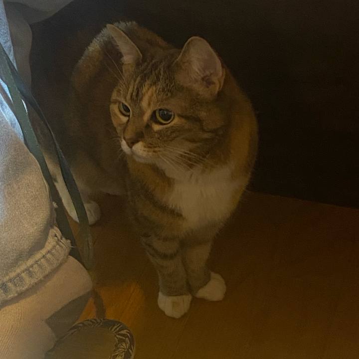 0aee20d9 c499 4db4 92cc 0e5afa2424fa 1719667763805