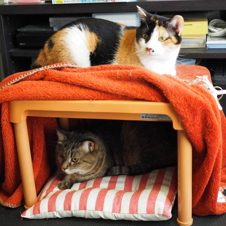 0aee434c 8f89 41b9 853c 0953f84c6724 1552860320976