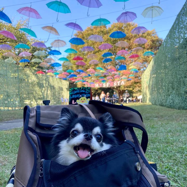 0aee7500 f652 4067 ba02 85ac867c448c 1760682642595