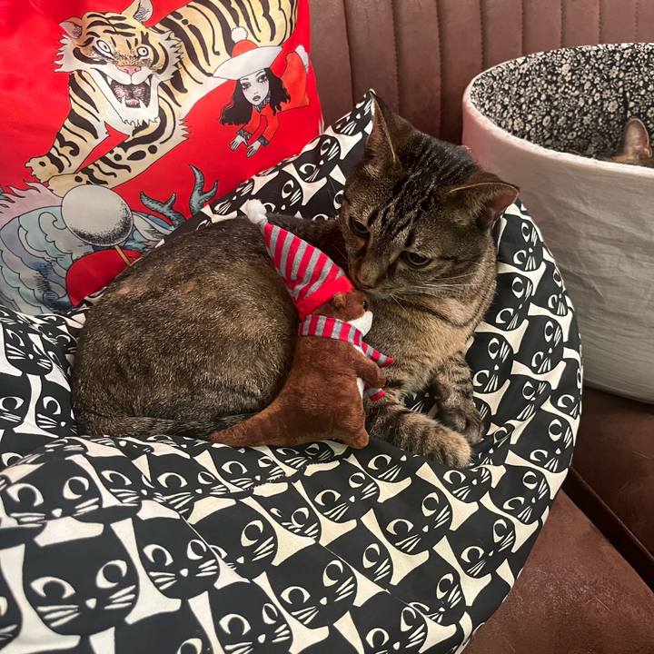 0aee7b30 bd09 48c1 ba51 b5d91405b2a6 1763673519734