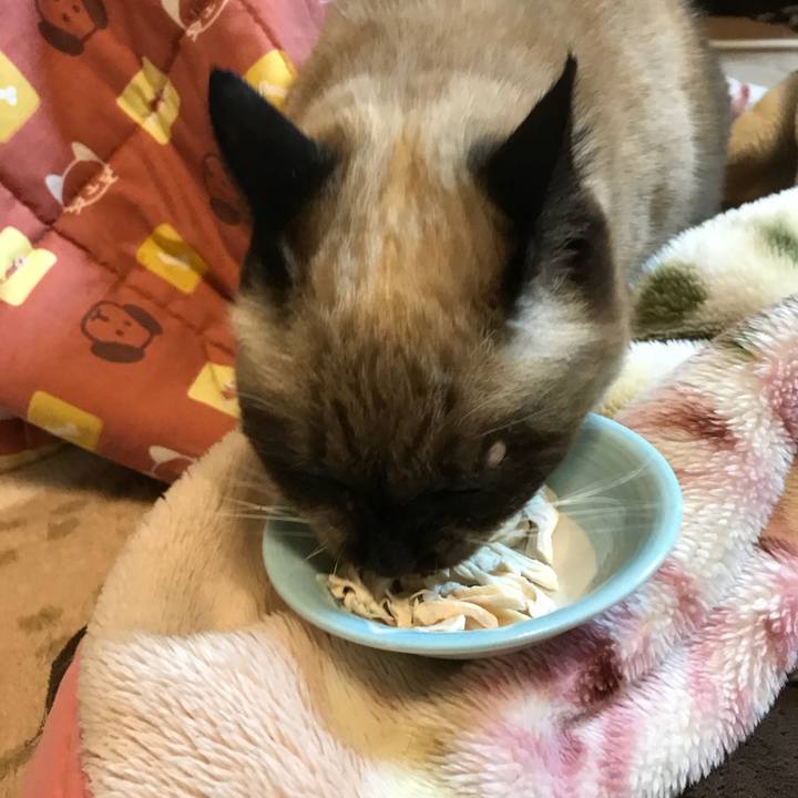 0aee920e 0fdc 4862 84d3 39355b994c6b 1514104636416