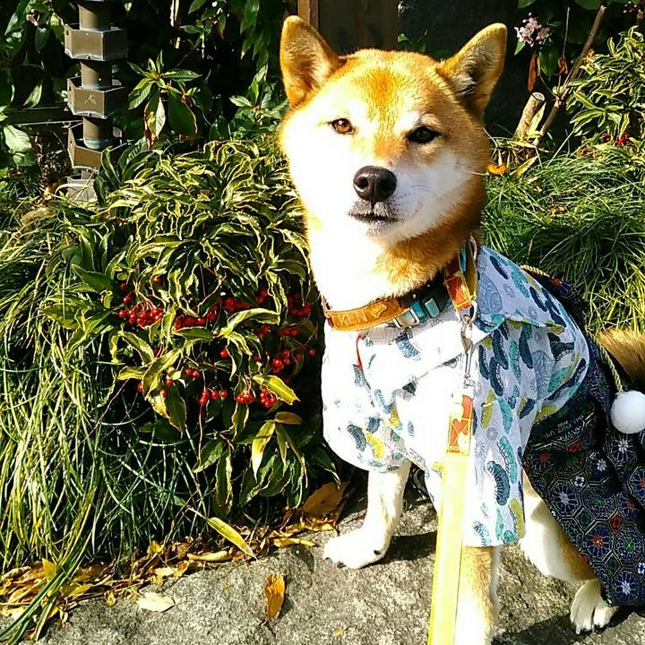 0aee9855 7db8 473f a4f3 111b619efe9b 1546358174822