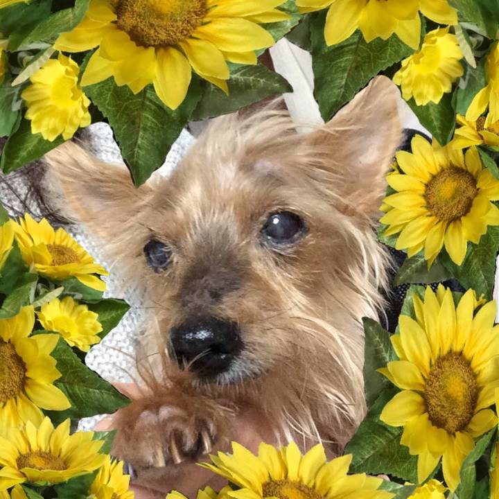 0aeec2b2 0cdc 479e aa34 8112ef18092d 1562729691545